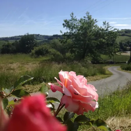 Epis Tournesols Сasa de vacaciones Coueilles