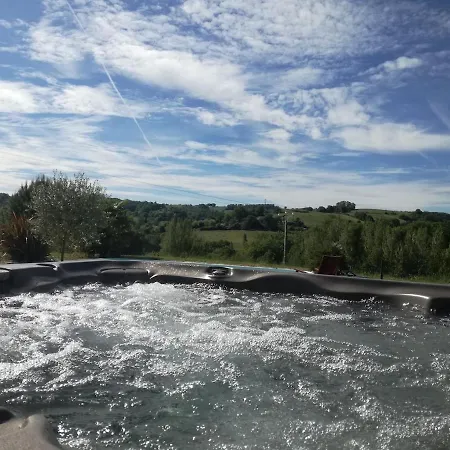 Epis Tournesols * Coueilles