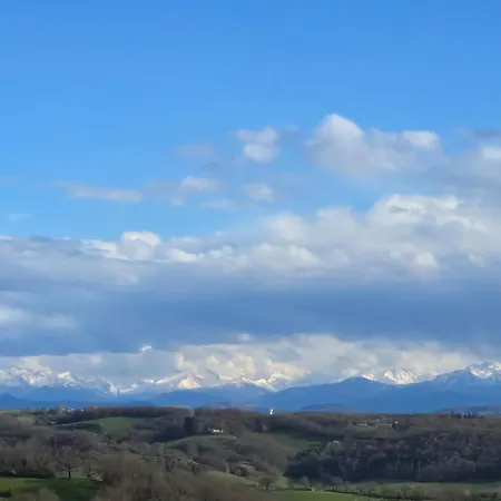 Epis Tournesols Coueilles