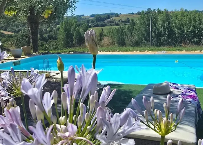 Epis Tournesols * Coueilles