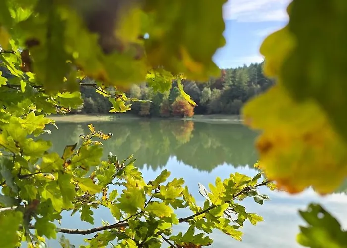 Epis Tournesols Coueilles