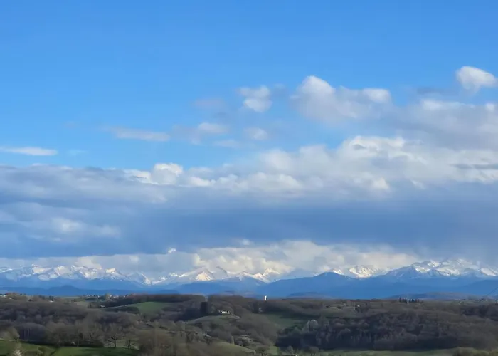 Epis Tournesols Coueilles