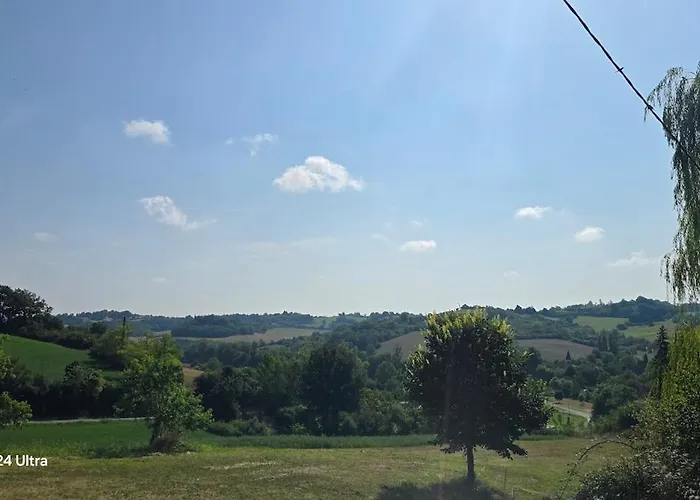 Epis Tournesols * Coueilles