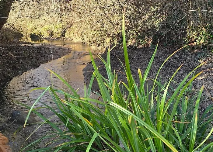Epis Tournesols Сasa de vacaciones *