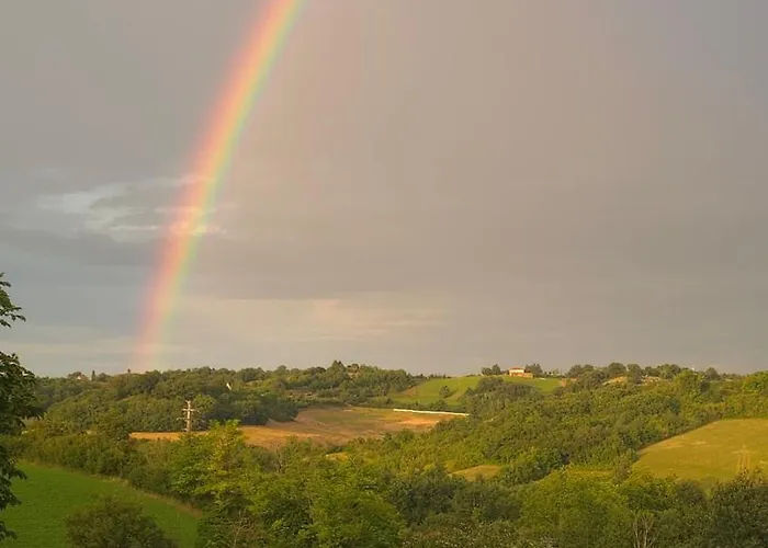 Epis Tournesols Coueilles