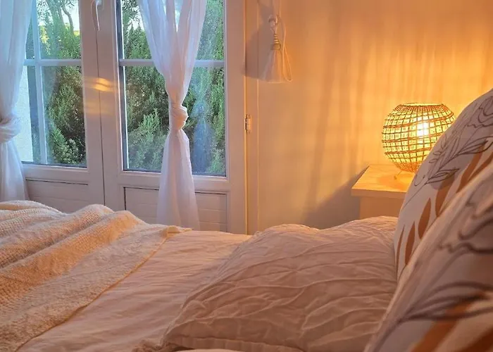 Epis Tournesols * Coueilles