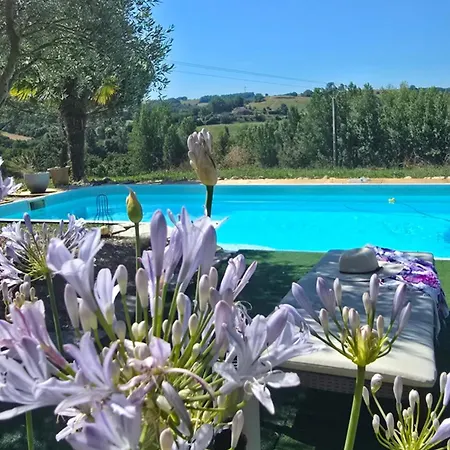 Epis Tournesols * Coueilles