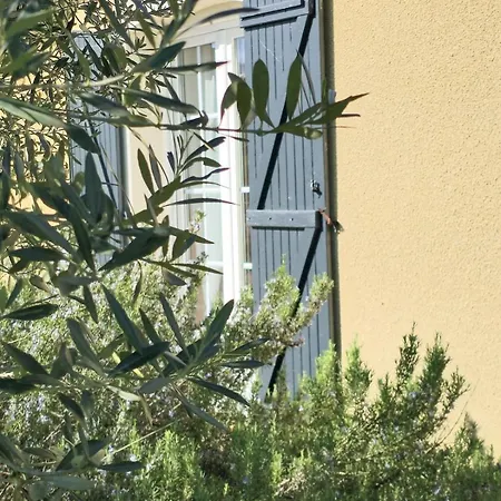 Epis Tournesols