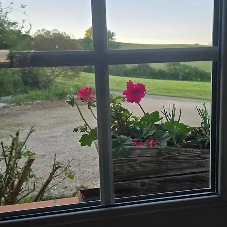 Epis Tournesols 度假居 Coueilles