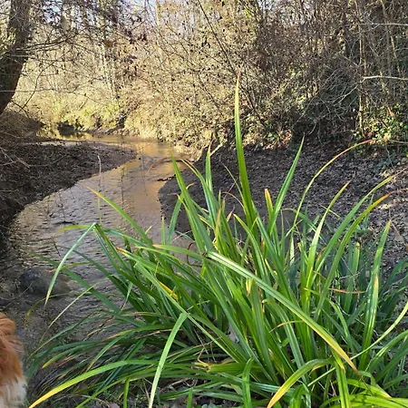 Epis Tournesols 度假居 *