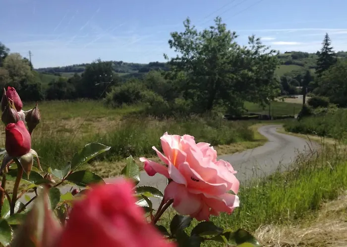 Epis Tournesols Дом отдыха Coueilles