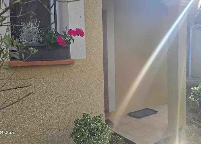 Epis Tournesols Coueilles