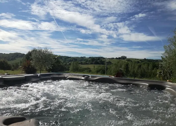 Epis Tournesols * Coueilles