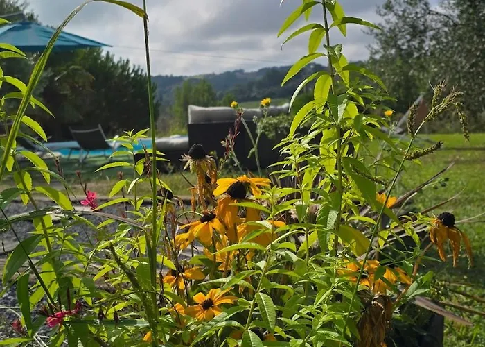 Дом отдыха Epis Tournesols *